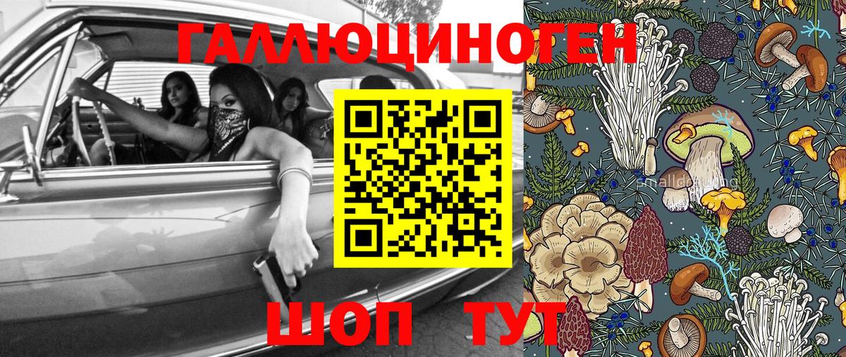 Галлюциногенные грибы мицелий Трёхгорный